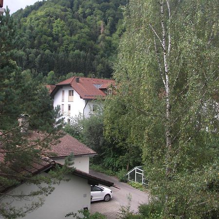 Appartemant Steineberg Apartment Immenstadt im Allgaeu Exterior photo